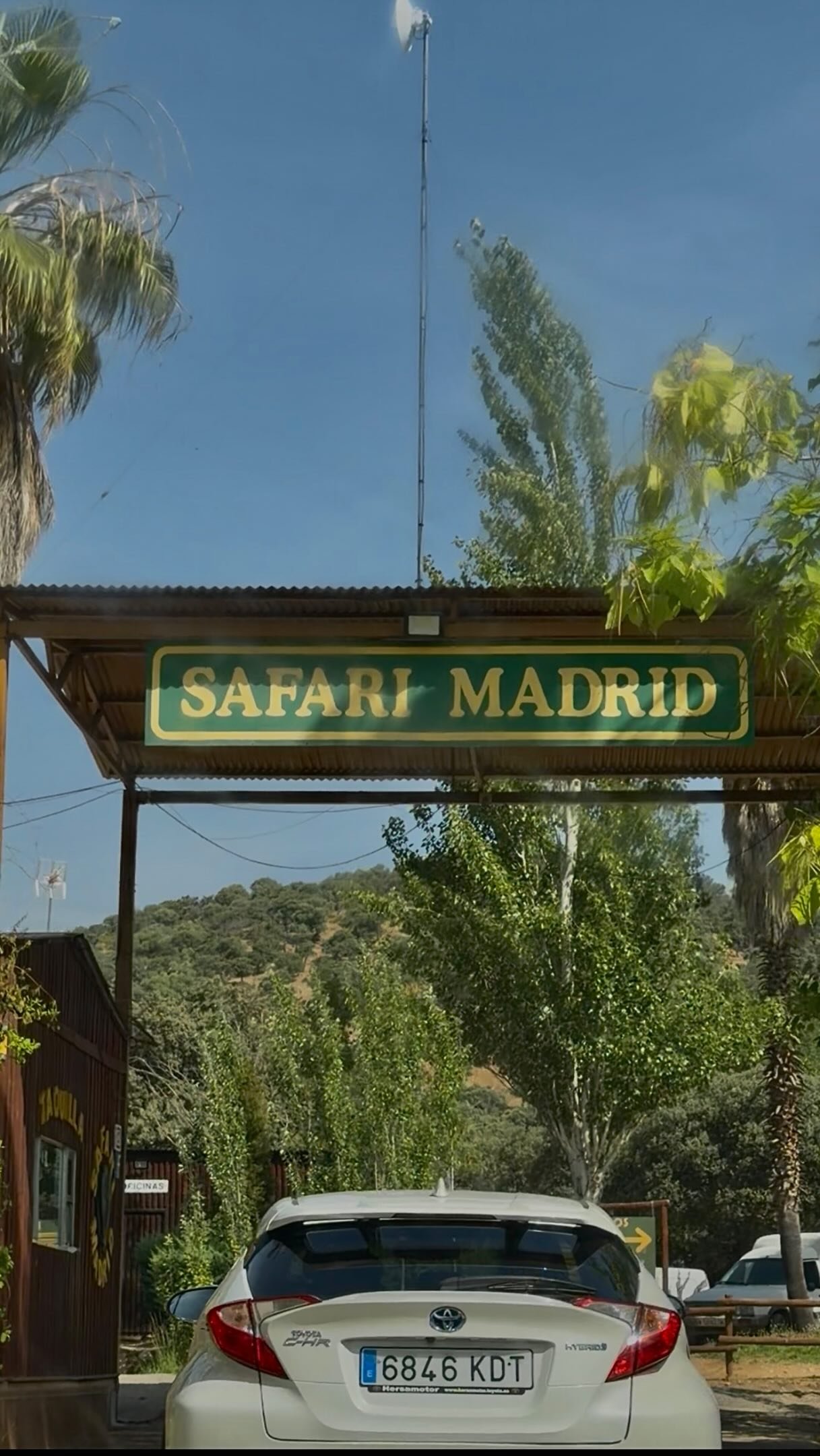 Animales en libertad en Madrid Safari